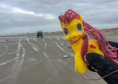 Samen door de Wadden met Oud en Nieuw